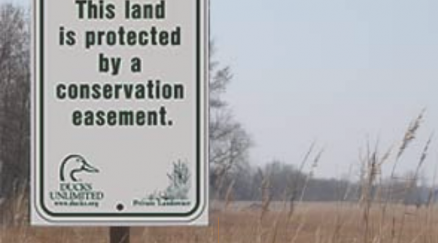 Conservation Easement